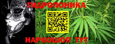 экстази Гай