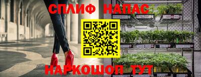 экстази Гай